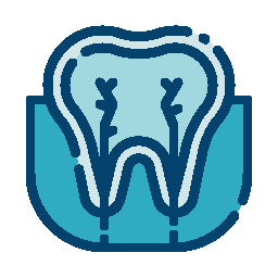 ENDODONCIA